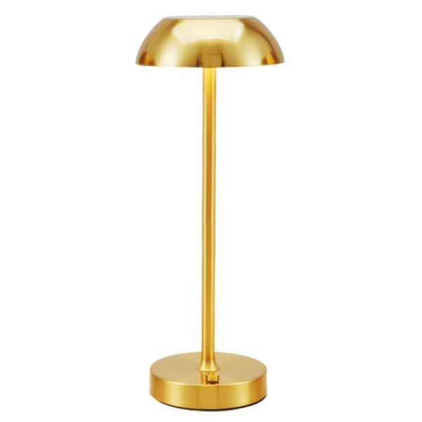 ZONJIE Rechargeable Table Lamp